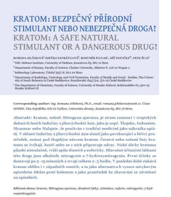 Kratom: Bezpečný přírodní stimulant nebo nebezpečná droga?