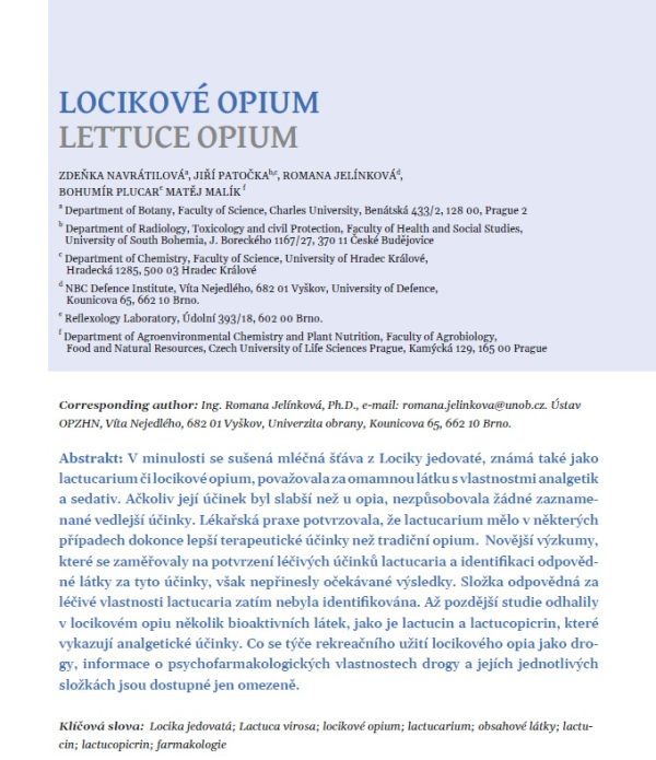 Locikové opium